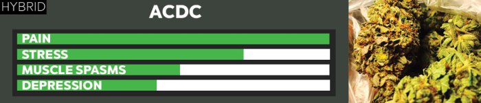 acdc-strain-for-anxiety